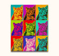 Andy Warhol signature - Cats 4: Pop-art style collage of a tabby cat in nine vibrant panels. Hand-painted oil on canvas, ready to hang, UV-protected.
