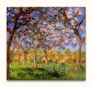 Claude Monet - Olijfbloesem schilderij in impressionistische stijl met bloeiende olijfbomen, levendige penseelstreken en warme zonlichttonen, uitlopend op een blauwe lucht.