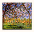 Claude Monet - Olijfbloesem schilderij in impressionistische stijl met bloeiende olijfbomen, levendige penseelstreken en warme zonlichttonen, uitlopend op een blauwe lucht.